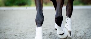 shutterstock 218874724 716x310 116