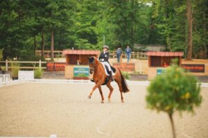 IMG 1865 1200x801 1016