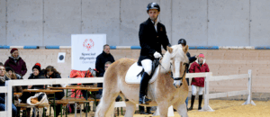 reiten 716x310 116